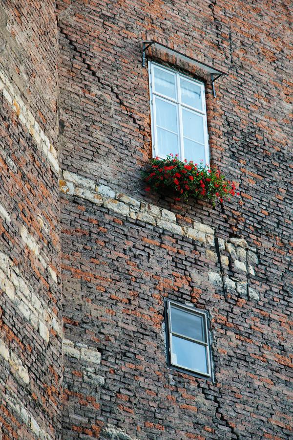 Schody do nebe - FOTOGRAFIE